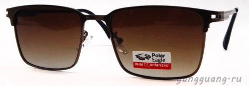 Polar Eagle 8773 C2