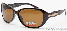 Polar Eagle 09548 C2