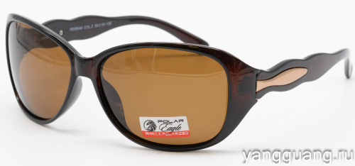 Polar Eagle 09548 C2