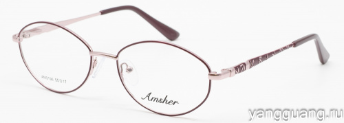 AMSHAR 9196 C12 55-17-140