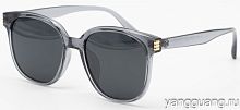 Polarized TR-90 6050 C4