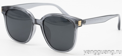 Polarized TR-90 6050 C4