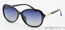 Polarized 9005 C1