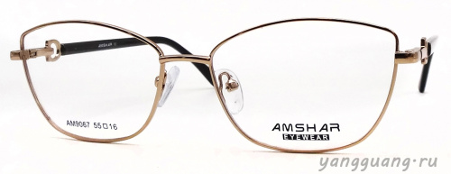 AMSHAR 9067 C4 55-16-140