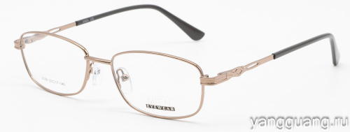 MIEN 2106 C100 53-17-140