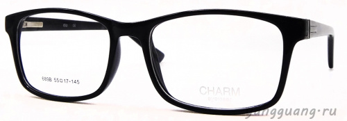 CHARM 689B C1 55-17-145