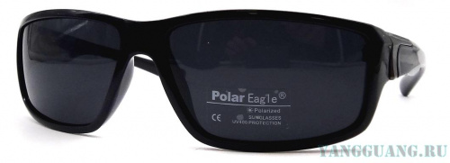 Polar Eagle 8219 C1